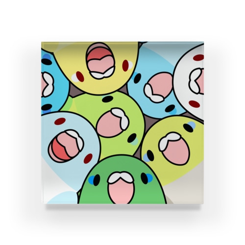 みっちりむっちり過密マメルリハさん【まめるりはことり】 Acrylic Block