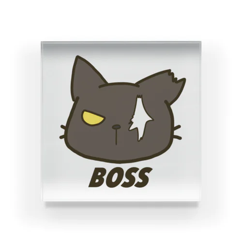 BOSS Acrylic Block