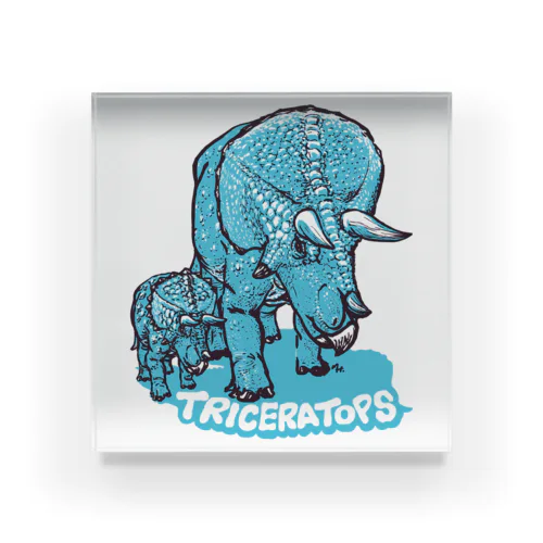 TRICERATOPS（成体と幼体） アクリルブロック