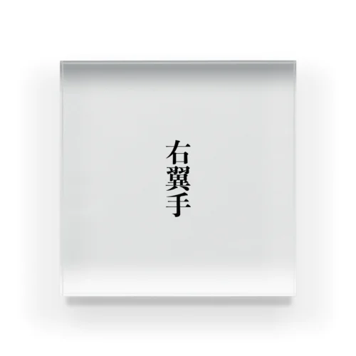 右翼手 Acrylic Block