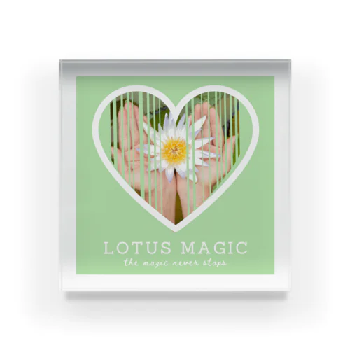 lotus magic ✴︎ アクリルブロック
