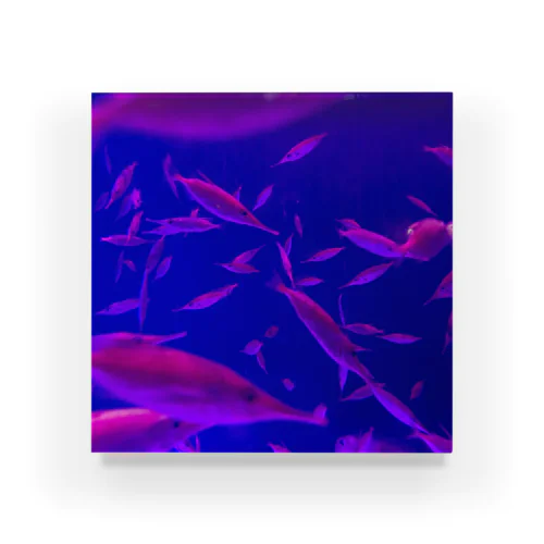 魚 Acrylic Block