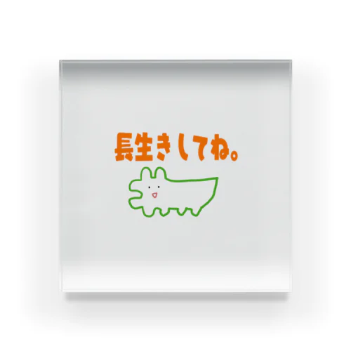 長寿を祈願するわに Acrylic Block