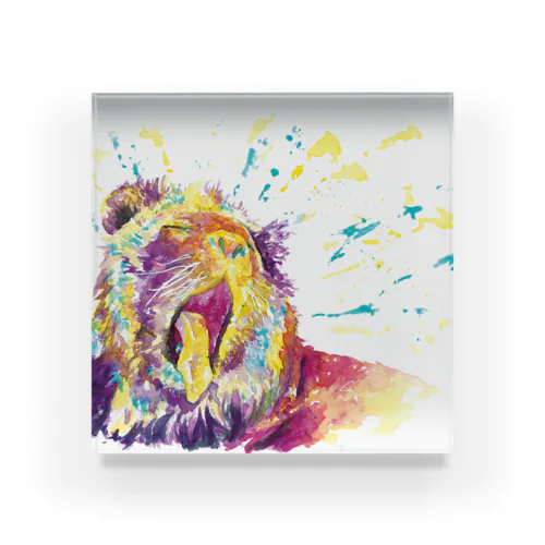 ライオン_lion.1_watercolor Acrylic Block