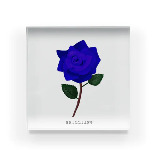 Blue Rose “BRILLIANT” アクリルブロック