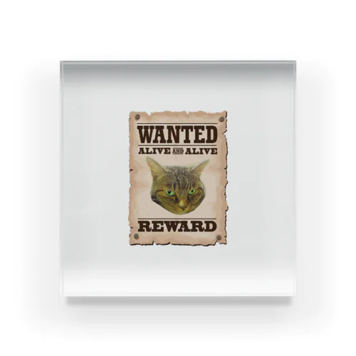 WANTED fuu! Acrylic Block