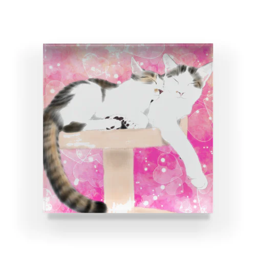 ソラちゃん&マルくん Acrylic Block