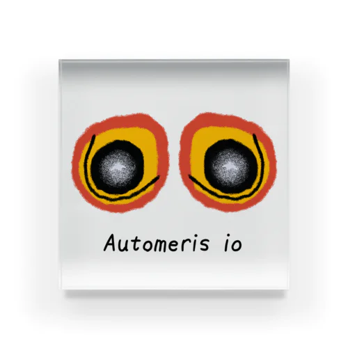 めだまもよう その1 (Automeris io) アクリルブロック