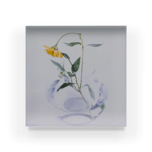 Matte Flower 02 Acrylic Block