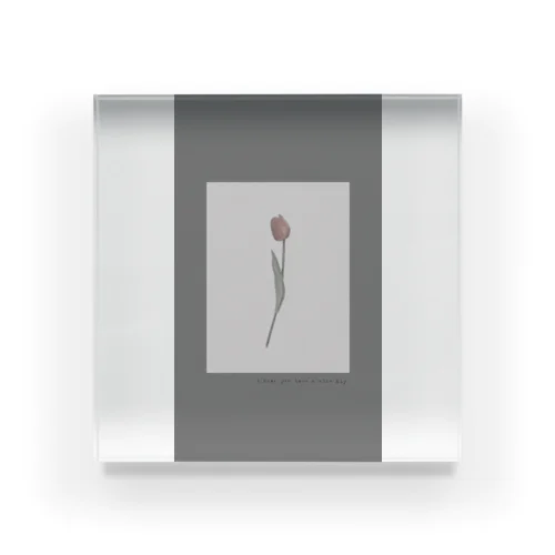 tulip gray Acrylic Block