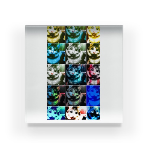 momoいっぱい Acrylic Block