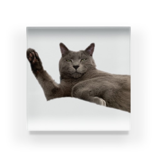 寝起きの猫3 Acrylic Block