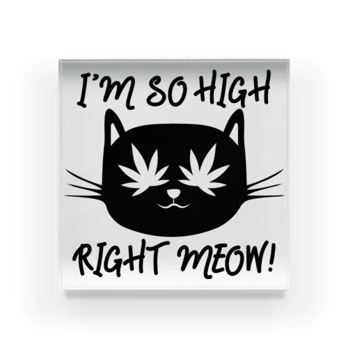 I'm so high right meow 🐱 Acrylic Block