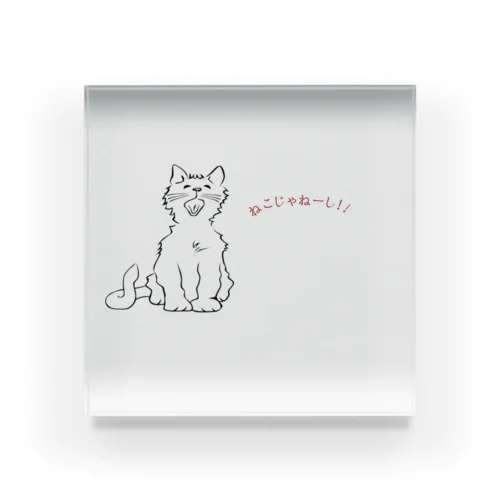 ツンデレの猫　RINA Acrylic Block