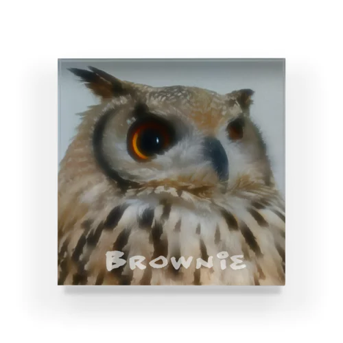 this is brownie アクリルブロック