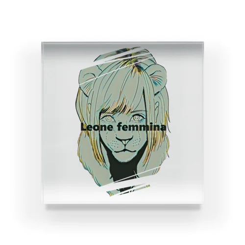 【Leone femmina】 アクリルブロック