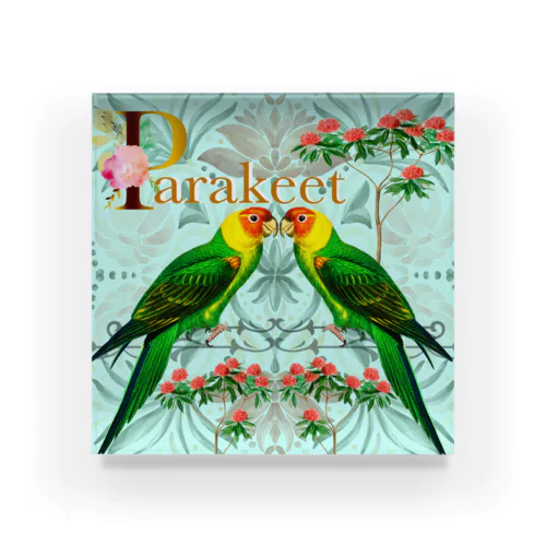 Parakeet Acrylic Block