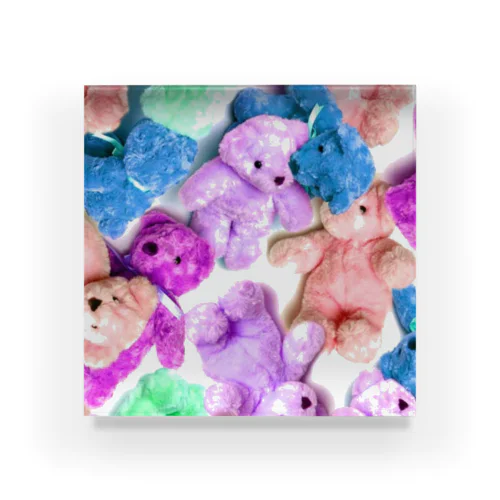 Bear Bear  Acrylic Block