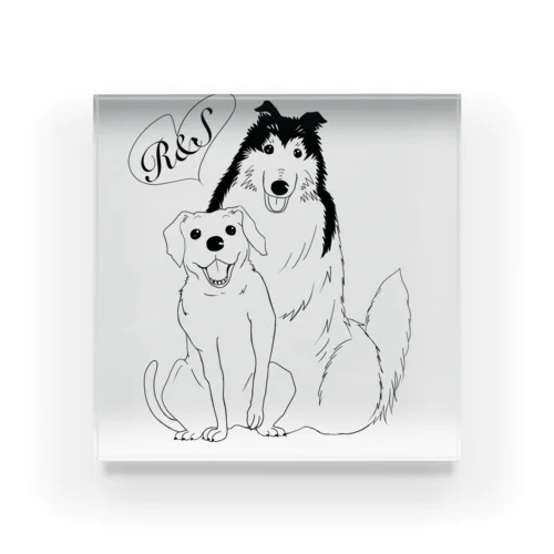 R&S dog  Acrylic Block