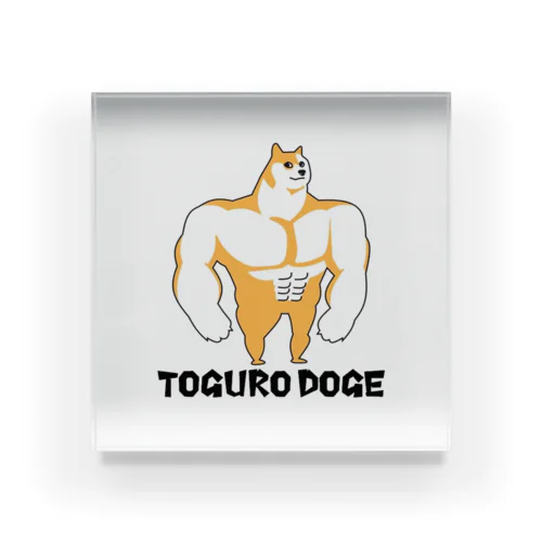 戸愚呂doge BIG アクリルブロック