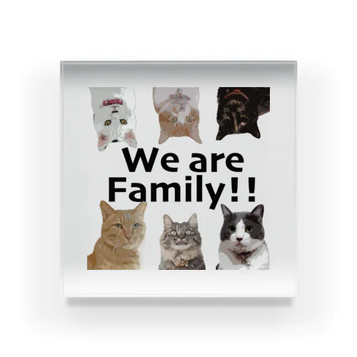 We are family Acrylic Block