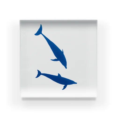 Dolphin LOGO無し Acrylic Block