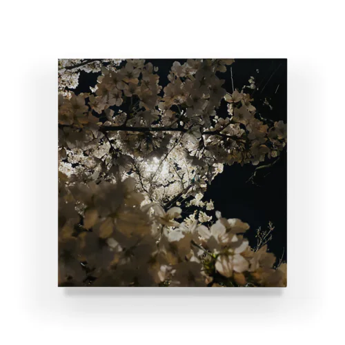 夜桜 Acrylic Block