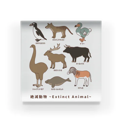  絶滅動物 Extinct Animal Acrylic Block