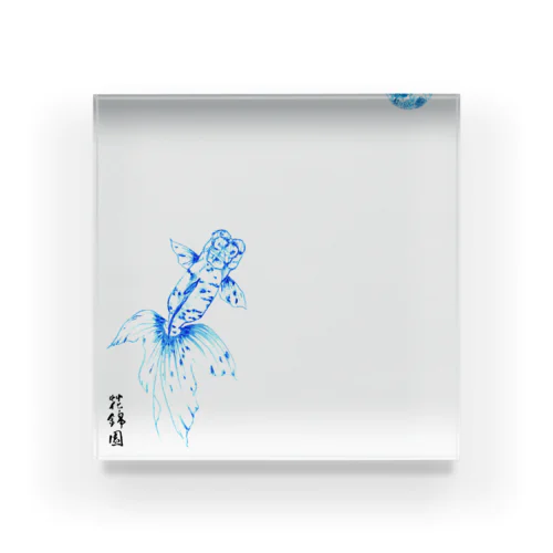 【金魚】関東アズマ～青の素描～ Acrylic Block