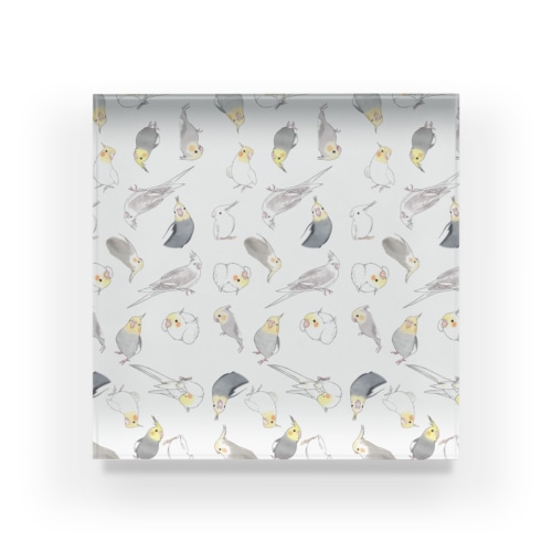 たっぷりオカメインコちゃん【まめるりはことり】 Acrylic Block