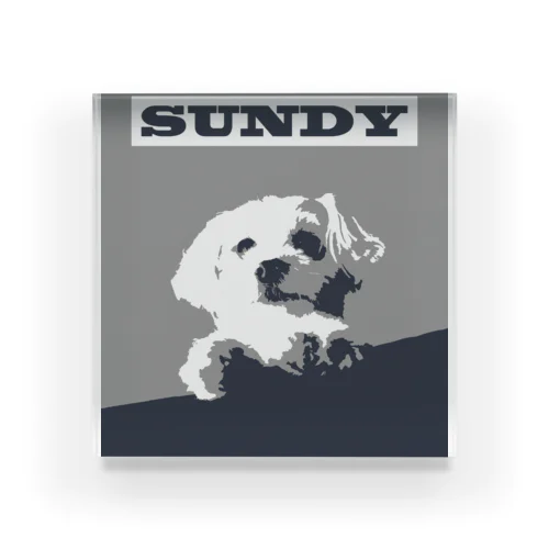 SUNDY Acrylic Block