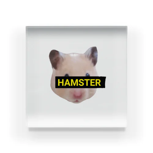 HAMSTER★はむすたー Acrylic Block