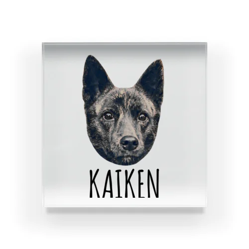 甲斐犬-KAIKEN-グッズ アクリルブロック