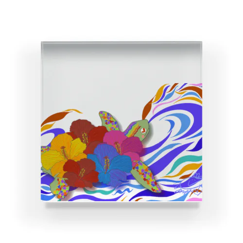 okiseaturtle Acrylic Block