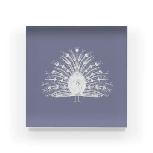 White Peacock Acrylic Block