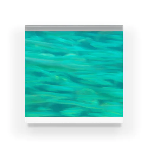 エメラルドグリーンの魚群 Acrylic Block