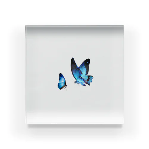 twin morpho acrylicblock Acrylic Block