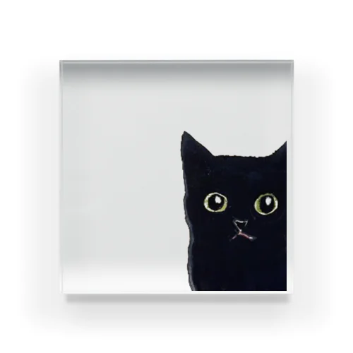 窓の黒猫 Acrylic Block