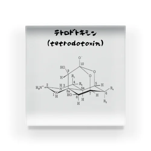 テトロドトキシン Acrylic Block