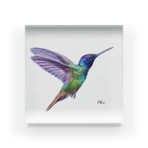 Hummingbird  Acrylic Block