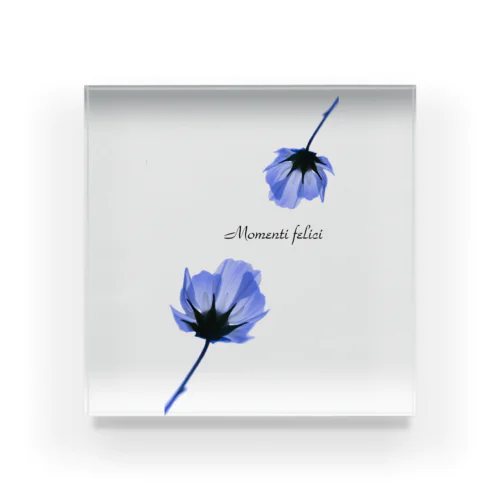 Momenti felici Acrylic Block