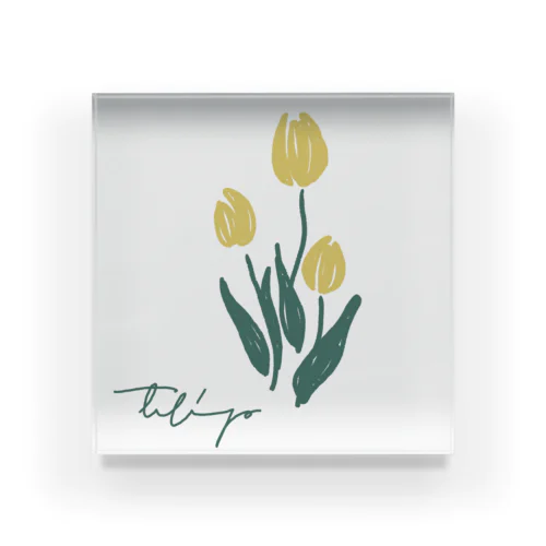 白地　tulip Acrylic Block