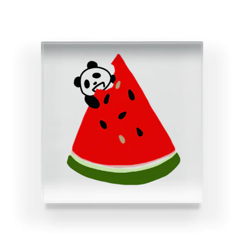 スイカ★パンダ Watermelon Panda アクリルブロック