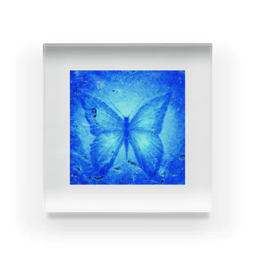 青い蝶 アクリルブロック