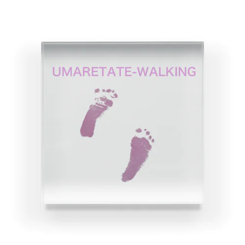 UMARETATE-WALKING アクリルブロック