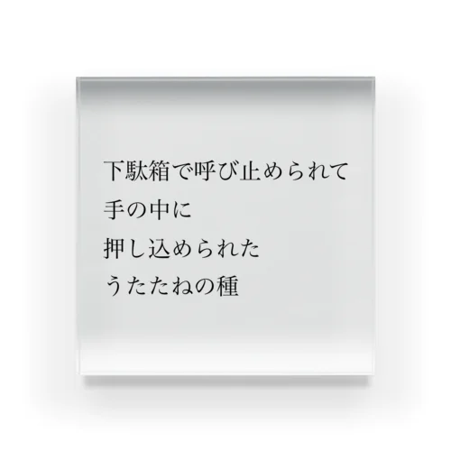 【サウナ短歌】恋する2人のためのサウナ アクリルブロック