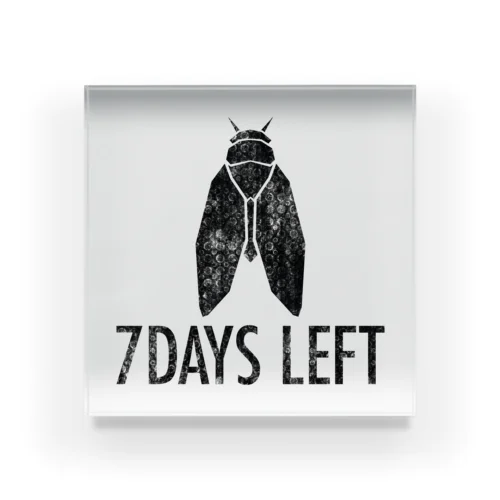 7 DAYS LEFT Acrylic Block