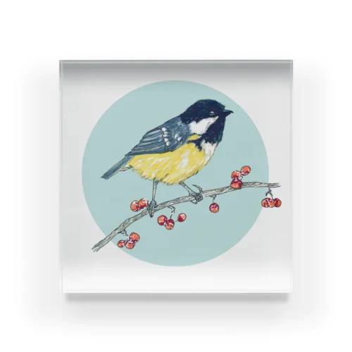 ベリーと鳥 (Great Tit) Acrylic Block