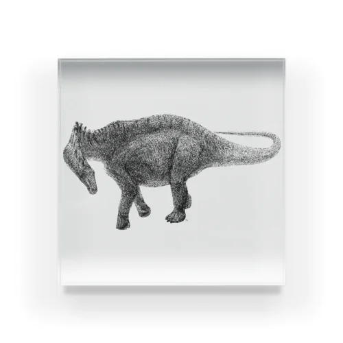 Amargasaurus（白黒） Acrylic Block