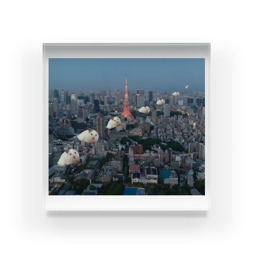 Hamster-Tokyo Acrylic Block